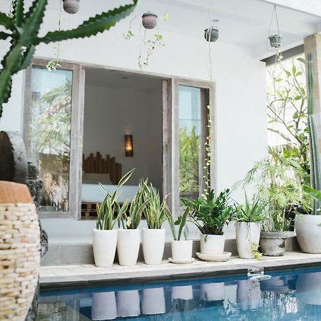 Cat Cow Yoga Villa Canggu Zewnętrze zdjęcie
