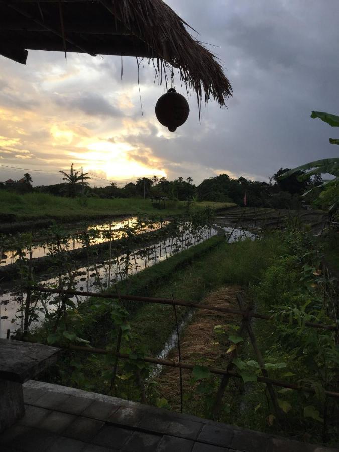 Cat Cow Yoga Villa Canggu Zewnętrze zdjęcie