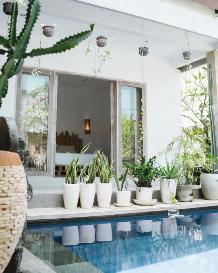 Cat Cow Yoga Villa Canggu Zewnętrze zdjęcie